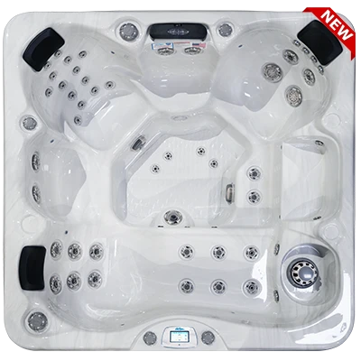 Avalon-X EC-849LX hot tubs for sale in Spearfish