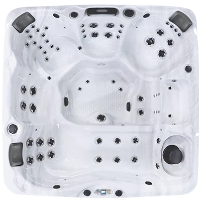 Avalon EC-867L hot tubs for sale in Spearfish