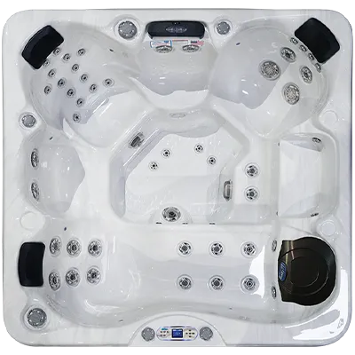 Avalon EC-849L hot tubs for sale in Spearfish