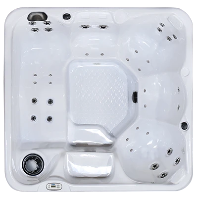 Hawaiian PZ-636L hot tubs for sale in Spearfish